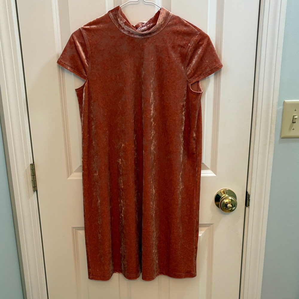 Pink Madewell Velvet Dress